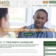 True North Counseling Website