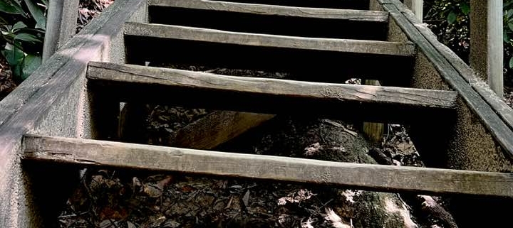Image of stairs at Red River Gorge
